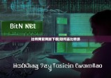 比特网官网版下载|如何盗比特派