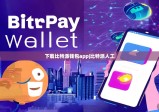 下载比特派钱包app|比特派人工