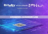 比特派最新钱包5.0|比特派钱包用什么网络